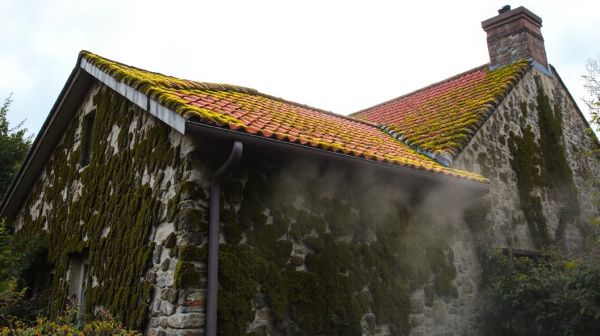 Top 5 techniques efficaces pour démousser toiture et façade